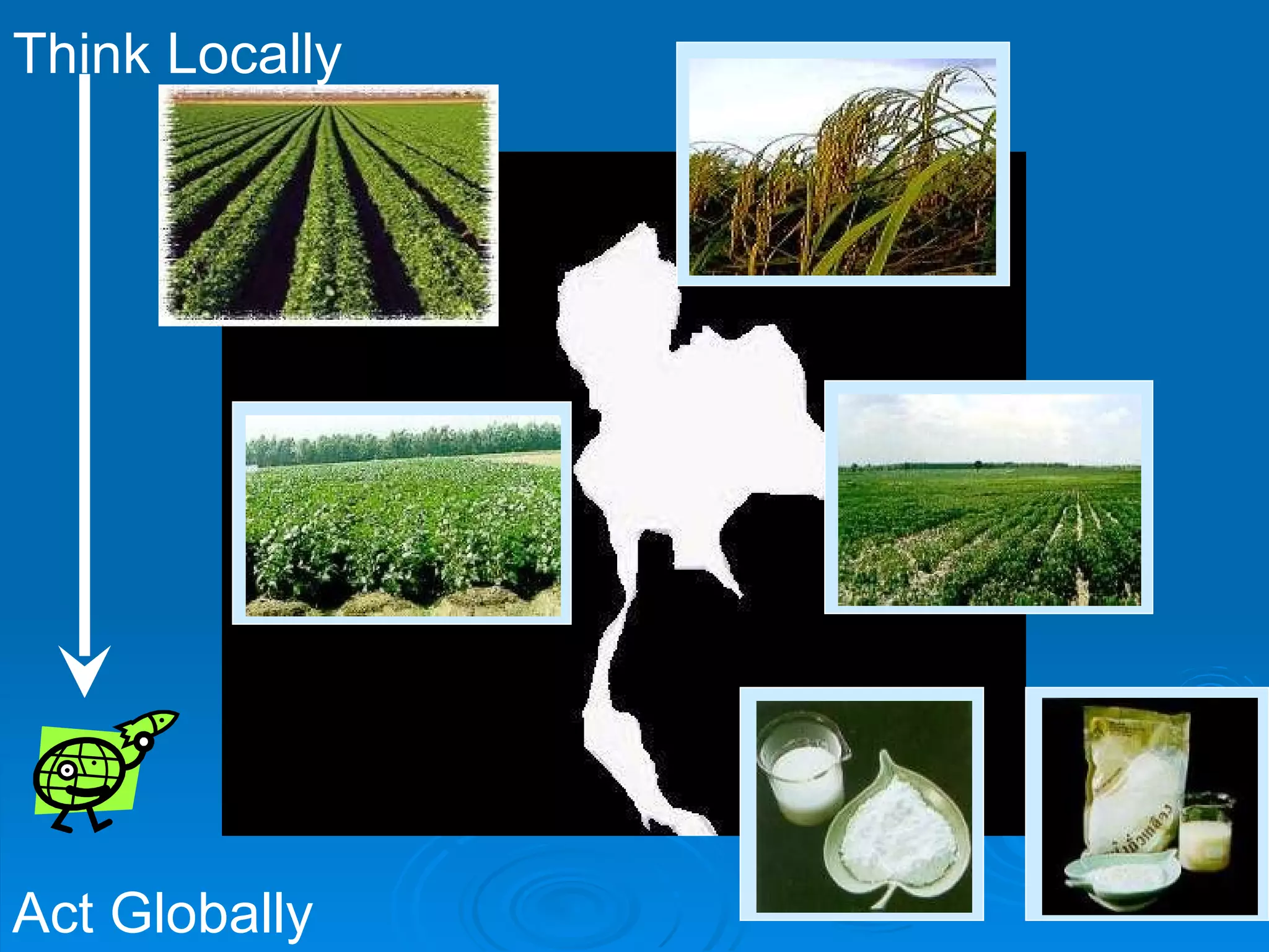 Think Locally Act Globally 