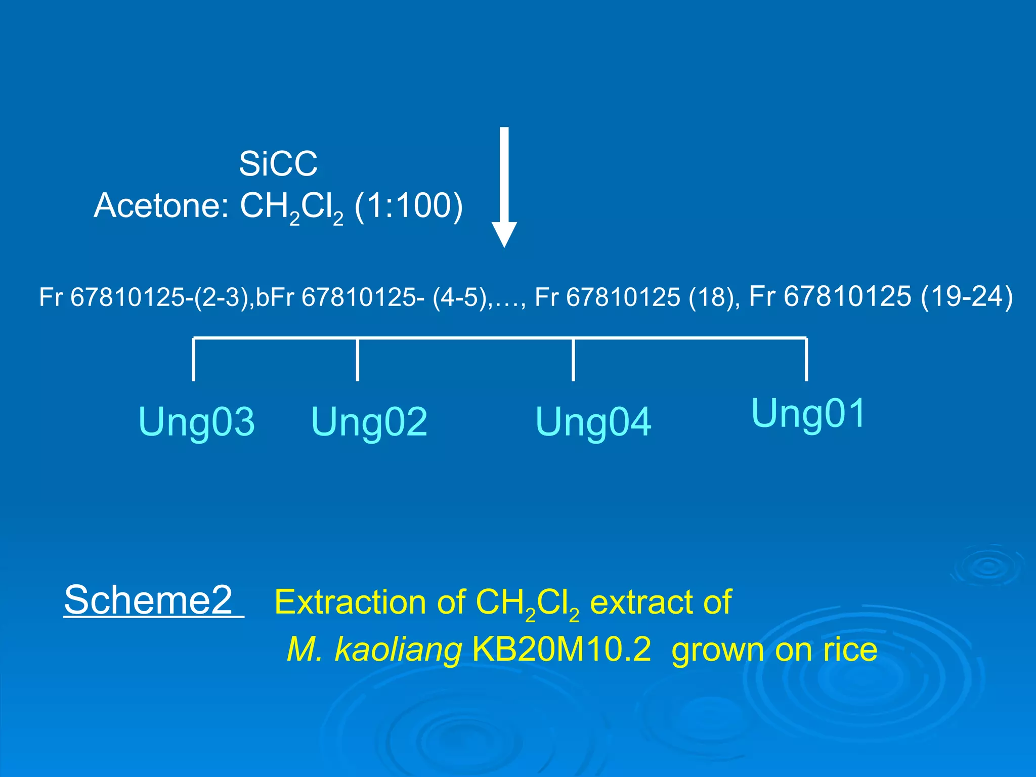 SiCC Acetone: CH 2 Cl 2  (1:100) Fr 67810125-(2-3),bFr 67810125- (4-5),…, Fr 67810125 (18),  Fr 67810125 (19-24)   Ung03 Ung02 Ung04 Ung01 Scheme2  Extraction of CH 2 Cl 2  extract of  M. kaoliang  KB20M10.2  grown on rice 