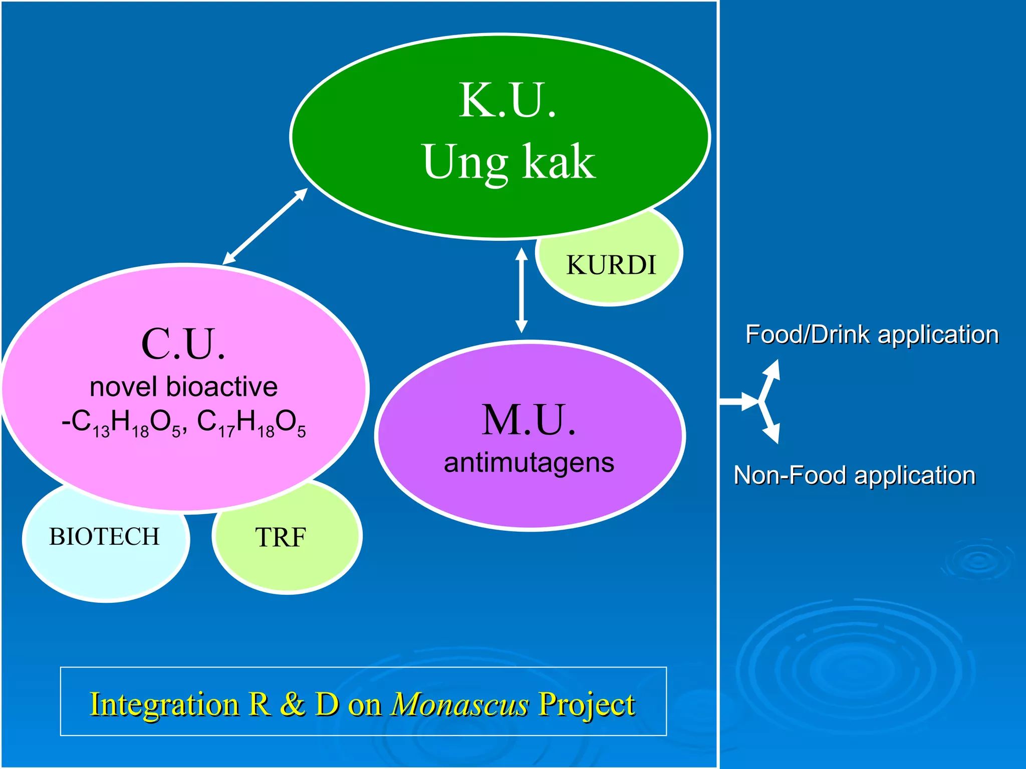 K.U. Ung kak C.U. novel bioactive -C 13 H 18 O 5 , C 17 H 18 O 5 M.U. antimutagens BIOTECH TRF Integration R & D on  Monascus  Project Food/Drink application Non-Food application KURDI 