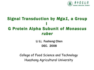 Li Li,  Fusheng  Chen DEC.  2008 College of Food Science and Technology  Huazhong Agricultural University  Signal Transduction by  Mga1 , a Group I  G Protein Alpha Subunit of  Monascus ruber 