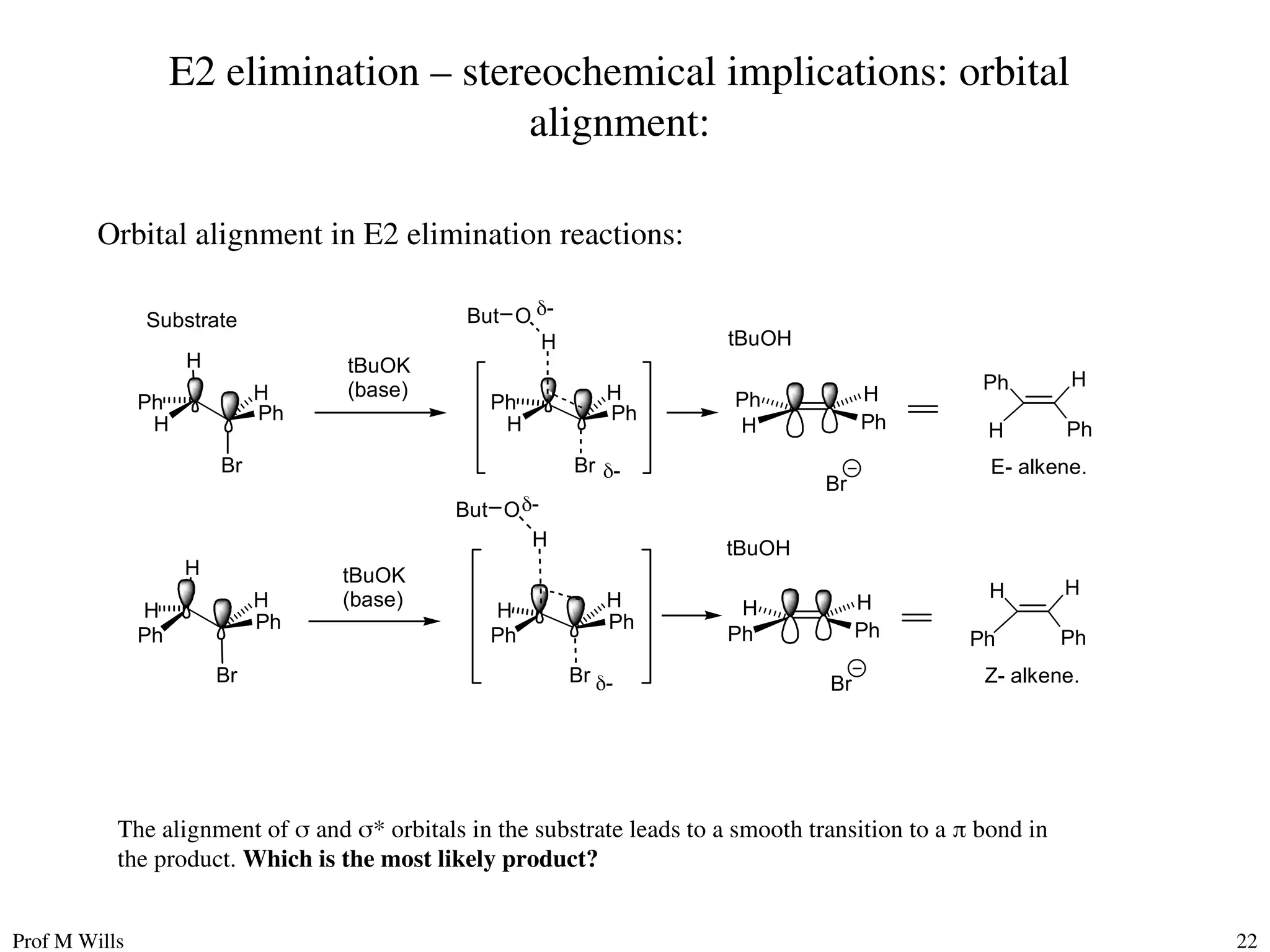 Prof M Wills 22
E2 elimination – stereochemical implications: orbital
alignment:
Orbital alignment in E2 elimination reactions:
Ph
H
H
Br
Ph H
Ph
H
Ph H
Ph
H
Ph H
E- alkene.
Ph
Ph
H
Br
H H
Ph
Ph
H H
Ph
Ph
H H
Z- alkene.
Substrate
Ph
H
Br
Ph H
Ph
Ph
Br
H H
H
H
tBuOK
(base)
tBuOK
(base)
O
But
O
But
-
-
-
-
tBuOH
Br
Br
tBuOH
The alignment of  and * orbitals in the substrate leads to a smooth transition to a  bond in
the product. Which is the most likely product?
 