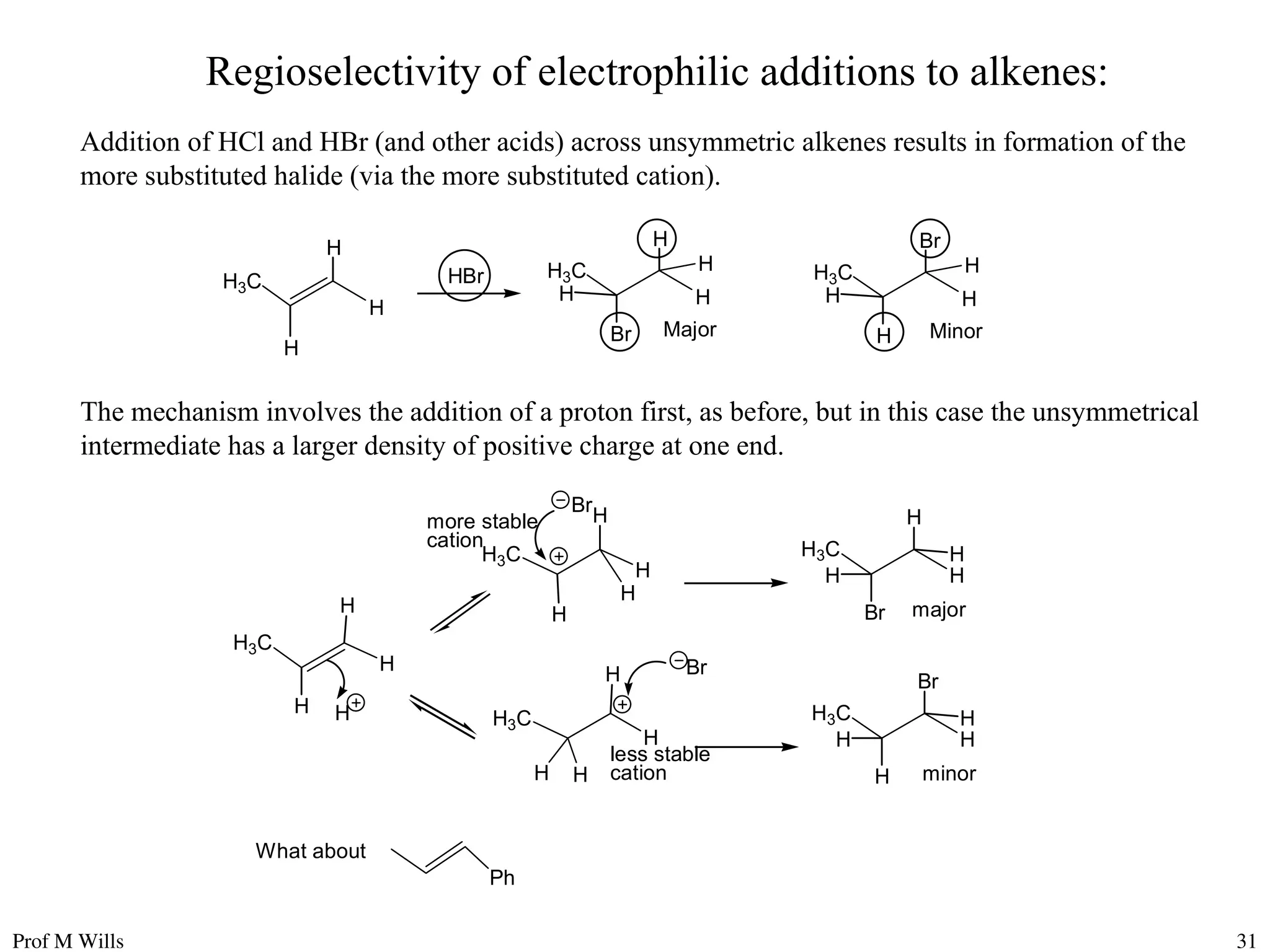 Prof M Wills 31
Regioselectivity of electrophilic additions to alkenes:
Addition of HCl and HBr (and other acids) across unsymmetric alkenes results in formation of the
more substituted halide (via the more substituted cation).
H
HBr
H
H3C H3C
H
Br
H
H
H
H
Major
H
H3C
Br
H
H
H
Minor
The mechanism involves the addition of a proton first, as before, but in this case the unsymmetrical
intermediate has a larger density of positive charge at one end.
H
H
H3C
H3C
H
Br
H
H
H3C
H
Br
H
H H
H
H
H
more stable
cation
major
H
H3C
Br
H
H
H3C
H
Br
H
H
H
less stable
cation minor
H
What about
Ph
 