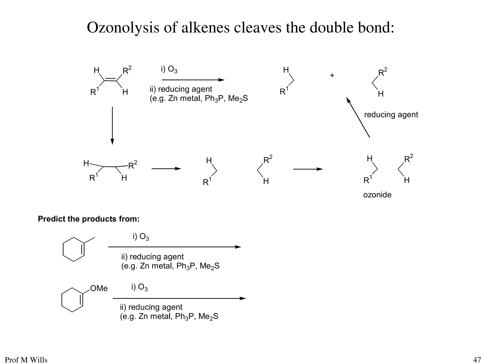 Prof M Wills 47
Ozonolysis of alkenes cleaves the double bond:
H R
2
R
1
H
H
R1
R
2
H
i) O3
ii) reducing agent
(e.g. Zn metal, Ph3P, Me2S
H R
2
R
1
H
H
R
1
R
2
H
H
R
1
R2
H
ozonide
reducing agent
+
Predict the products from:
i) O3
ii) reducing agent
(e.g. Zn metal, Ph3P, Me2S
OMe i) O3
ii) reducing agent
(e.g. Zn metal, Ph3P, Me2S
 