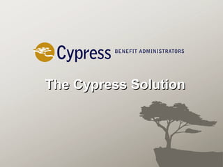 The Cypress Solution 