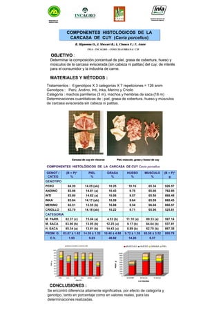 COMPONENTES HISTOLÓGICOS DE LA
CARCASA DE CUY (Cavia porcellus)
COMPONENTES HISTOLÓGICOS DE LA
CARCASA DE CUY (Cavia porcellus)
R. Higaonna O., J. Muscari B.; L. Chauca F.; F. AsteteR. Higaonna O., J. Muscari B.; L. Chauca F.; F. Astete
INIA – INCAGRO – COSECHA URBANA / CIP
Carcasa de cuy sin viscerasCarcasa de cuy sin visceras Piel, músculo, grasa y hueso de cuyPiel, músculo, grasa y hueso de cuy
5.3714.2046.929.231.93C.V.
800.7865.58 ± 3.529.72 ± 1.3810.40 ± 4.8814.30 ± 1.3283.87 ± 1.62PROM. G.
867.3862.78 (b)8.89 (b)14.43 (a)13.91 (b)85.34 (a)H. SACA
937.8164.64 (b)9.17 (b)12.25 (a)13.95 (b)83.90 (b)M. SACA
597.1469.33 (a)11.10 (a)4.53 (b)15.04 (a)82.37 (c)M. PARR.
CATEGORIA
525.8165.909.7110.2214.18 (ab)83.79CRIOLLO
860.5766.049.5410.8813.55 (b)83.51MERINO
860.4365.599.6410.5914.17 (ab)83.84INKA
868.4865.569.5710.0614.82 (a)83.80INTI
762.9565.069.7010.4314.81 (a)83.98ANDINO
926.5765.3410.1610.2514.25 (ab)84.20PERÚ
GENOTIPO
(B + P)*
g
MUSCULO
%
HUESO
%
GRASA
%
PIEL
%
(B + P)*
%
GENOT /
CATEG
MINISTERIO DE
AGRICULTURA
MINISTERIO DE
AGRICULTURA
Instituto Nacional de
Innovación Agraria
Instituto Nacional de
Innovación Agraria
OBJETIVOOBJETIVO ::
MATERIALES Y MÉTODOS :
Determinar la composición porcentual de piel, grasa de coberturaDeterminar la composición porcentual de piel, grasa de cobertura, hueso y, hueso y
músculos de la carcasa eviscerada (sin cabeza ni patitas) del cumúsculos de la carcasa eviscerada (sin cabeza ni patitas) del cuy; de interésy; de interés
para el consumidor y la industria de carne.para el consumidor y la industria de carne.
Tratamientos : 6 genotipos X 3 categorías X 7 repeticiones = 126 anim
Genotipos : Perú, Andino, Inti, Inka, Merino y Criollo
Categoría : machos parrilleros (3 m), machos y hembras de saca (18 m)
Determinaciones cuantitativas de : piel, grasa de cobertura, hueso y músculos
de carcasa eviscerada sin cabeza ni patitas.
CONCLUSIONES :
Se encontró diferencia altamente significativa, por efecto de categoría y
genotipo, tanto en porcentaje como en valores reales, para las
determinaciones realizadas.
0
100
200
300
400
500
600
700
800
900
1000
PESOg
PERU ANDI INTI INKA MERINO CRIOLLO
GENOTIPO
MUSCULO HUESO GRASA PIEL
0
100
200
300
400
500
600
700
800
900
1000
PESOg
M-PARR M-SACA H-SACA
CATEGORIA
MUSCULO HUESO GRASA PIEL
COMPONENTES HISTOLÓGICOS DE LA CARCASA DE CUY Cavia porcellus
 
