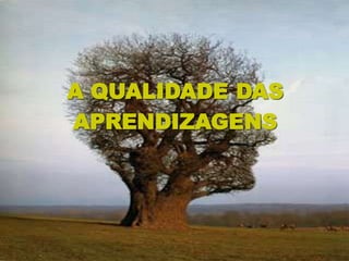 2008_diapositivos da auto-avaliação de escola