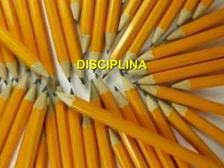 2008_diapositivos da auto-avaliação de escola