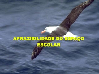 2008_diapositivos da auto-avaliação de escola