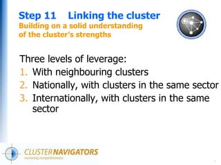 Cluster basics: Cluster Development in Practice - Twelve Steps | PDF