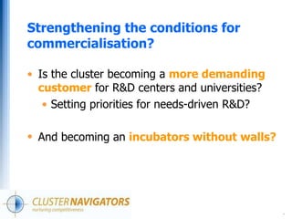 Cluster basics: Cluster Development in Practice - Twelve Steps | PDF