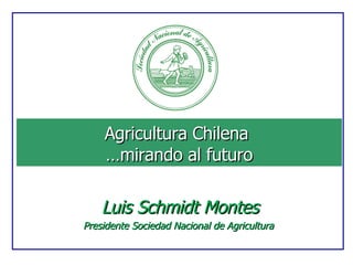 Agricultura Chilena  …mirando al futuro Luis Schmidt Montes Presidente Sociedad Nacional de Agricultura  