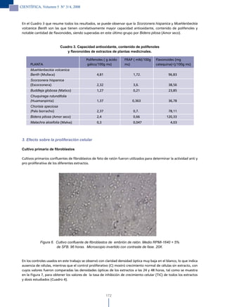 CIENTÍFICA, Volumen 5 N° 3/4, 2008



 En el Cuadro 3 que resume todos los resultados, se puede observar que la Scorzonera hispanica y Muehlenbeckia
 volcanica Benth son las que tienen correlativamente mayor capacidad antioxidante, contenido de polifenoles y
 notable cantidad de flavonoides, siendo superadas en este último grupo por Bidens pilosa (Amor seco).



                          Cuadro 3. Capacidad antioxidante, contenido de polifenoles
                             y flavonoides de extractos de plantas medicinales.

                                           Polifenoles ( g ácido     FRAP ( mM/100g       Flavonoides (mg
      PLANTA                                gálico/100g ms)          ms)                  catequina(+)/100g ms)
      Muehlenbeckia volcanica
      Benth (Mullaca)                             4,81                     1,72.                  96,83
      Scorzonera hispanica
      (Escorzonera)                               2,32                     3,6.                   38,56
      Buddleja globosa (Matico)                   1,27                     0,21                   23,85
      Chuquiraga rutundifolia
      (Huamanpinta)                               1,37                    0,363                   36,78
      Chorisia speciosa
      (Palo borracho)                             2,37                     0,7.                   78,11
      Bidens pilosa (Amor seco)                   2,4                      0,66                  120,33
      Malachra alceifolia (Malva)                 0,3                      0,047                   4,03




 3. Efecto sobre la proliferación celular

 Cultivo primario de fibroblastos

 Cultivos primarios confluentes de fibroblastos de feto de ratón fueron utilizados para determinar la actividad anti y
 pro proliferativa de los diferentes extractos.




             Figura 6. Cultivo confluente de fibroblastos de embrión de ratón. Medio RPMI-1640 + 5%
                       de SFB. 96 horas. Microscopio invertido con contraste de fase. 20X.



 En los controles usados en este trabajo se observó con claridad densidad óptica muy baja en el blanco, lo que indica
 ausencia de células, mientras que el control proliferativo (C) mostró crecimiento normal de células sin extracto, con
 cuyos valores fueron comparadas las densidades ópticas de los extractos a las 24 y 48 horas, tal como se muestra
 en la Figura 7, para obtener los valores de la tasa de inhibición de crecimiento celular (TIC) de todos los extractos
 y dosis estudiados (Cuadro 4).



                                                         172
 