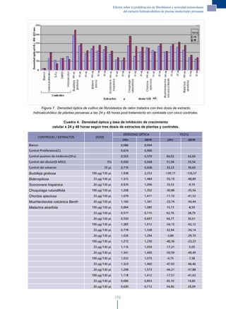 Efectos sobre la proliferación de fibroblastos y actividad antioxidante
                                                                   del extracto hidroalcohólico de plantas medicinales peruanas




        Figura 7. Densidad óptica de cultivo de fibroblastos de ratón tratados con tres dosis de extracto
   hidroalcohólico de plantas peruanas a las 24 y 48 horas post tratamiento en contraste con cinco controles.

                        Cuadro 4. Densidad óptica y tasa de inhibición de crecimiento
                 celular a 24 y 48 horas según tres dosis de extractos de plantas y controles.

                                                                   DENSIDAD ÓPTICA                             TIC(%)
      CONTROLES / EXTRACTOS                DOSIS
                                                                   24hr            48HR              24hr            48HR
Blanco                                                            0,086            0,094
Control Proliferativo(C)                                          0,674            0,990
Control positivo de inhibición(5Fu)                               0,555            0,370             66,02           63,64
Control del dilutor(D MSO)                           5%           0,656            0,668             51,04           33,54
Control del solvente                               10 μL          0,776            0,608             33,23           39,60
Buddleja globosa                        100 μg/130 μL             1,938            2,253            -139,17         -126,57
Bidenspilosa                             33 μg/130 μL             1,372            1,484            -55,19           -48,89
Scorzonera hispánica                     20 μg/130 μL             0,929            1,096             10,53            -9,70
Chuquiraga rutundifolia                 100 μg/130 μL             1,208            1,352            -30,86           -35,56
Chorisia speciosa                        33 μg/130 μL             1,079            1,411            -11,72           -41,52
Muehlenbeckia volcánica Benth            20 μg/130 μL             1,160            1,341            -23,74           -34,44
Malachra alceifolia                     100 μg/130 μL             0,894            1,085             15,73            -8,59
                                         33 μg/130 μL             0,577            0,715             62,76           28,79
                                         20 μg/130 μL             0,550            0,697             66,77           30,61
                                        100 μg/130 μL             1,385            1,912            -54,15           -92,12
                                         33 μg/130 μL             0,778            1,338             32,94           -34,14
                                         20 μg/130 μL             1,026            1,294             -3,86           -29,70
                                        100 μg/130 μL             1,272            1,230            -40,36           -23,23
                                         33 μg/130 μL             1,116            1,050            -17,21            -5,05
                                         20 μg/130 μL             1,341            1,490            -50,59           -49,49
                                        100 μg/130 μL             1,032            1,075             -4,75            -7,58
                                         33 μg/130 μL             1,323            1,460            -47,92           -46,46
                                         20 μg/130 μL             1,298            1,573            -44,21           -57,88
                                        100 μg/130 μL             1,118            1,412            -17,51           -41,62
                                         33 μg/130 μL             0,696            0,853             45,10           14,85
                                         20 μg/130 μL             0,630            0,712             54,90           29,09


                                                            173
 