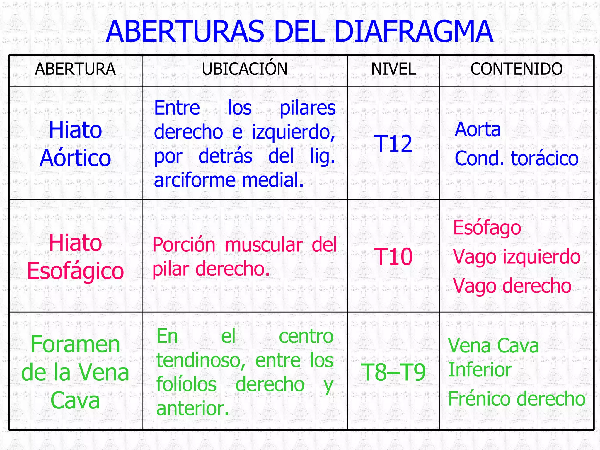 ABERTURAS DEL DIAFRAGMA ABERTURA UBICACIÓN NIVEL CONTENIDO Hiato Aórtico Entre los pilares derecho e izquierdo, por detrás del lig. arciforme medial. T12 Aorta Cond. torácico Hiato Esofágico Porción muscular del pilar derecho. T10 Esófago Vago izquierdo Vago derecho Foramen de la Vena Cava En el centro tendinoso, entre los folíolos derecho y anterior. T8–T9 Vena Cava Inferior Frénico derecho