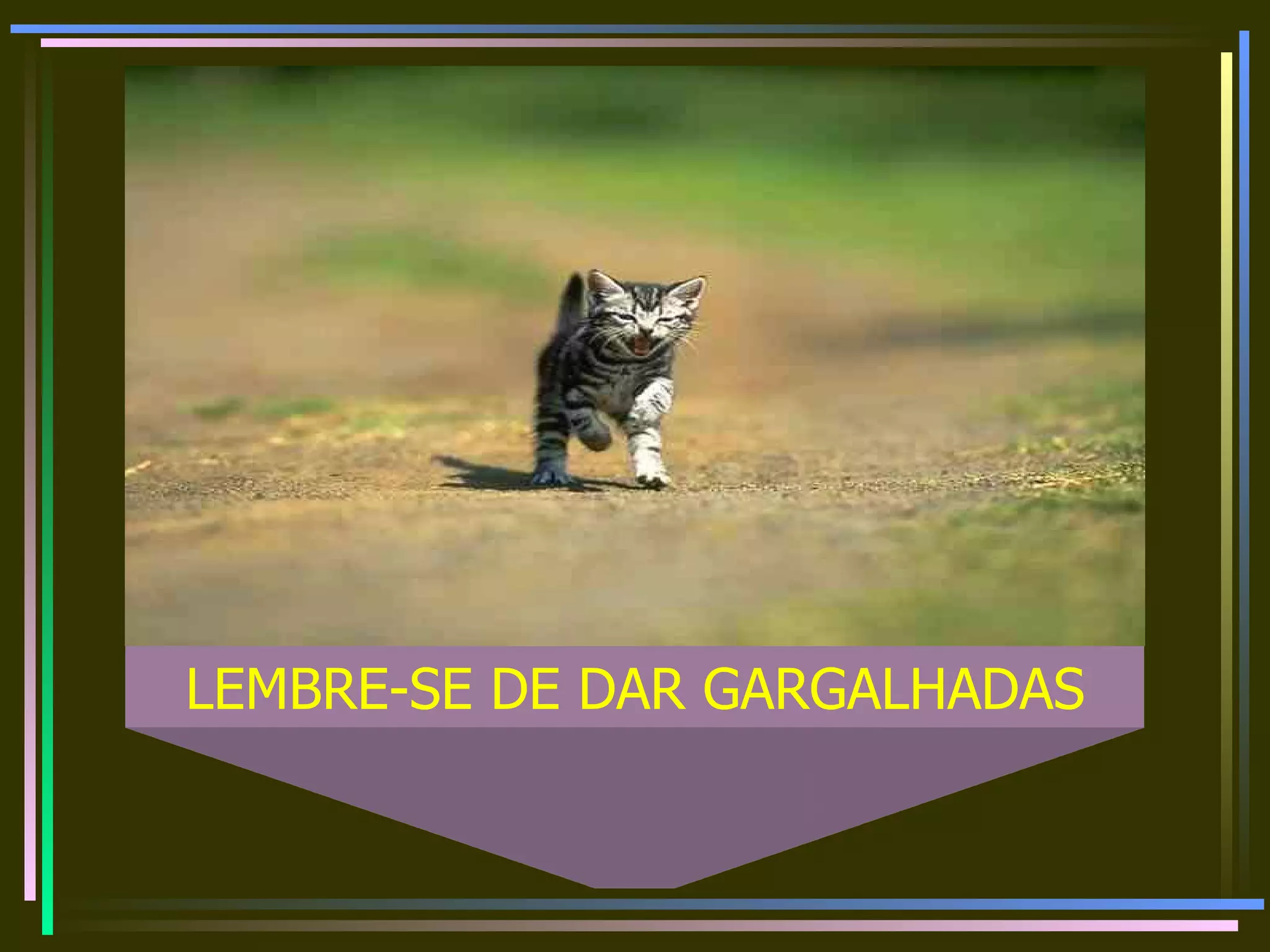 LEMBRE-SE DE DAR GARGALHADAS 
