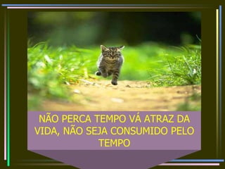 NÃO PERCA TEMPO VÁ ATRAZ DA VIDA, NÃO SEJA CONSUMIDO PELO TEMPO