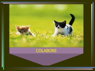 COLABORE
