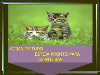 ACIMA DE TUDO … ESTEJA PRONTO PARA AVENTURAS