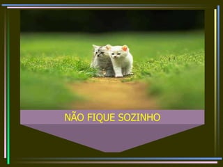 NÃO FIQUE SOZINHO