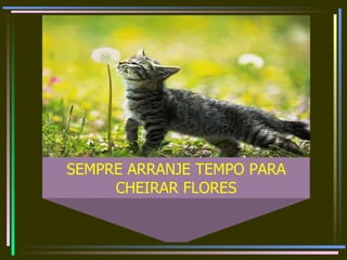 SEMPRE ARRANJE TEMPO PARA CHEIRAR FLORES