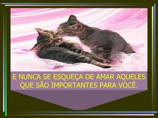 E NUNCA SE ESQUEÇA DE AMAR AQUELES QUE SÃO IMPORTANTES PARA VOCÊ.
