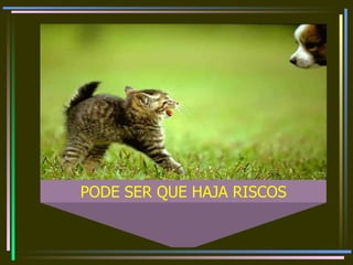 PODE SER QUE HAJA RISCOS