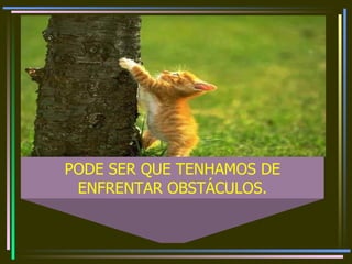 PODE SER QUE TENHAMOS DE ENFRENTAR OBSTÁCULOS.