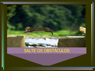 SALTE OS OBSTÁCULOS