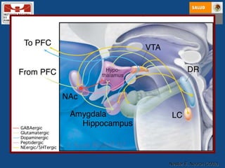 Nestler E, Neuron (2002) 