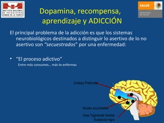 Dopamina, recompensa,  aprendizaje y ADICCIÓN El principal problema de la adicción es que los sistemas neurobiológicos destinados a distinguir lo asertivo de lo no asertivo son  “secuestrados ” por una enfermedad: “ El proceso adictivo” Entre más consumes …  más te enfermas Area Tegmental Ventral Sustancia nigra Núcleo accumbens Corteza Prefrontal 1 2 3 4 