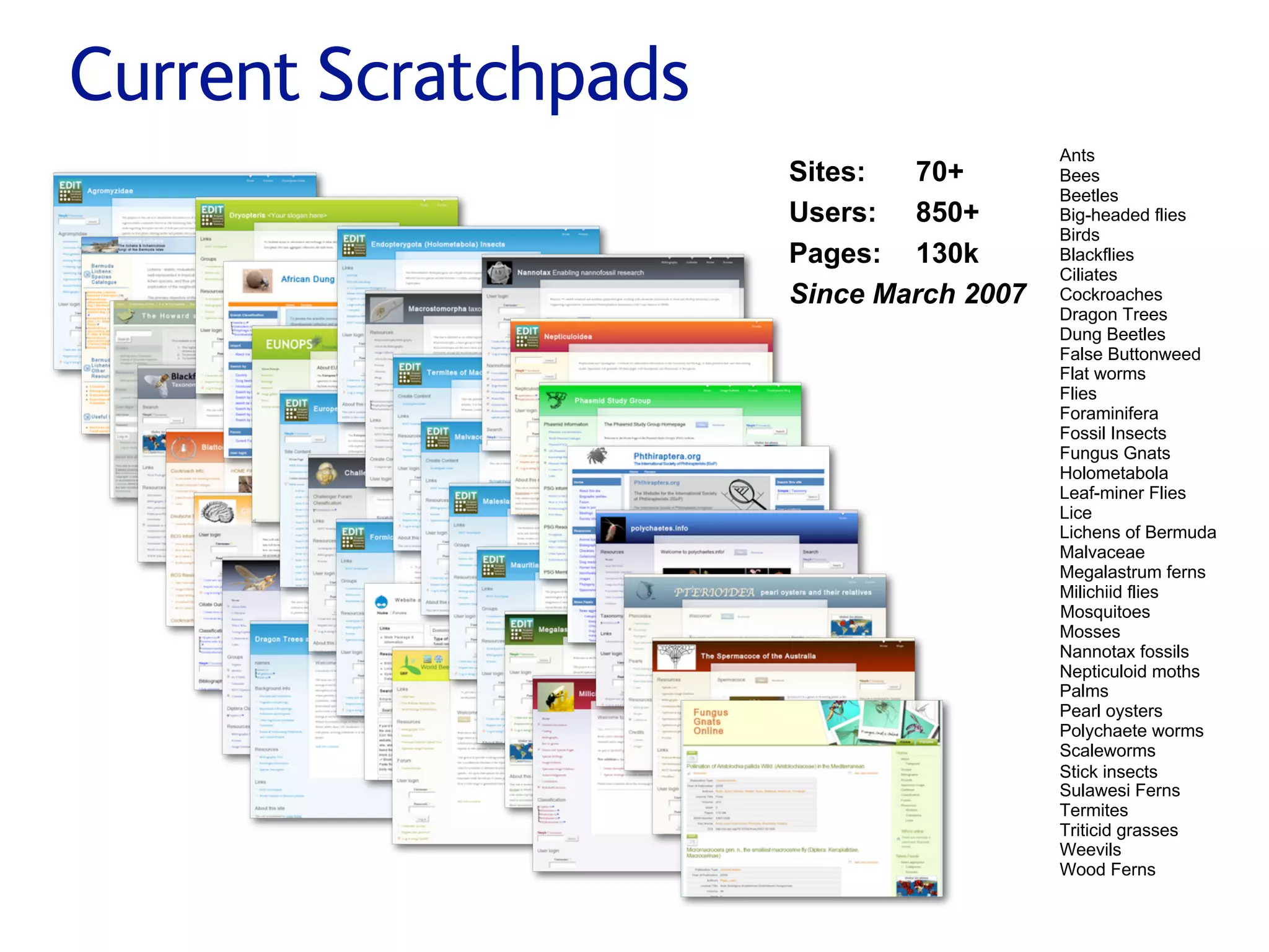 Small pieces loosely joined: a unified theory of biodiversity for the web.