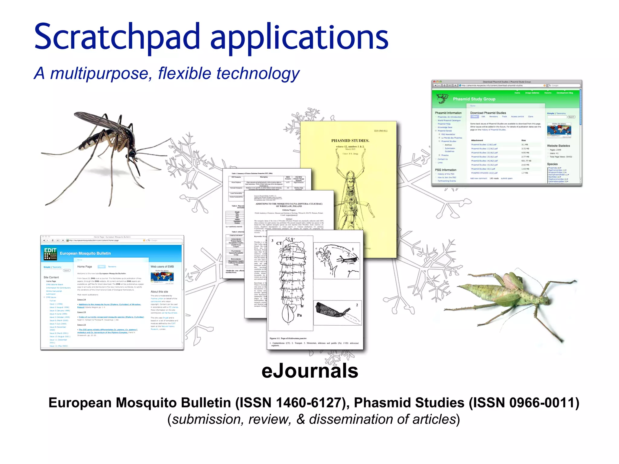 Small pieces loosely joined: a unified theory of biodiversity for the web.
