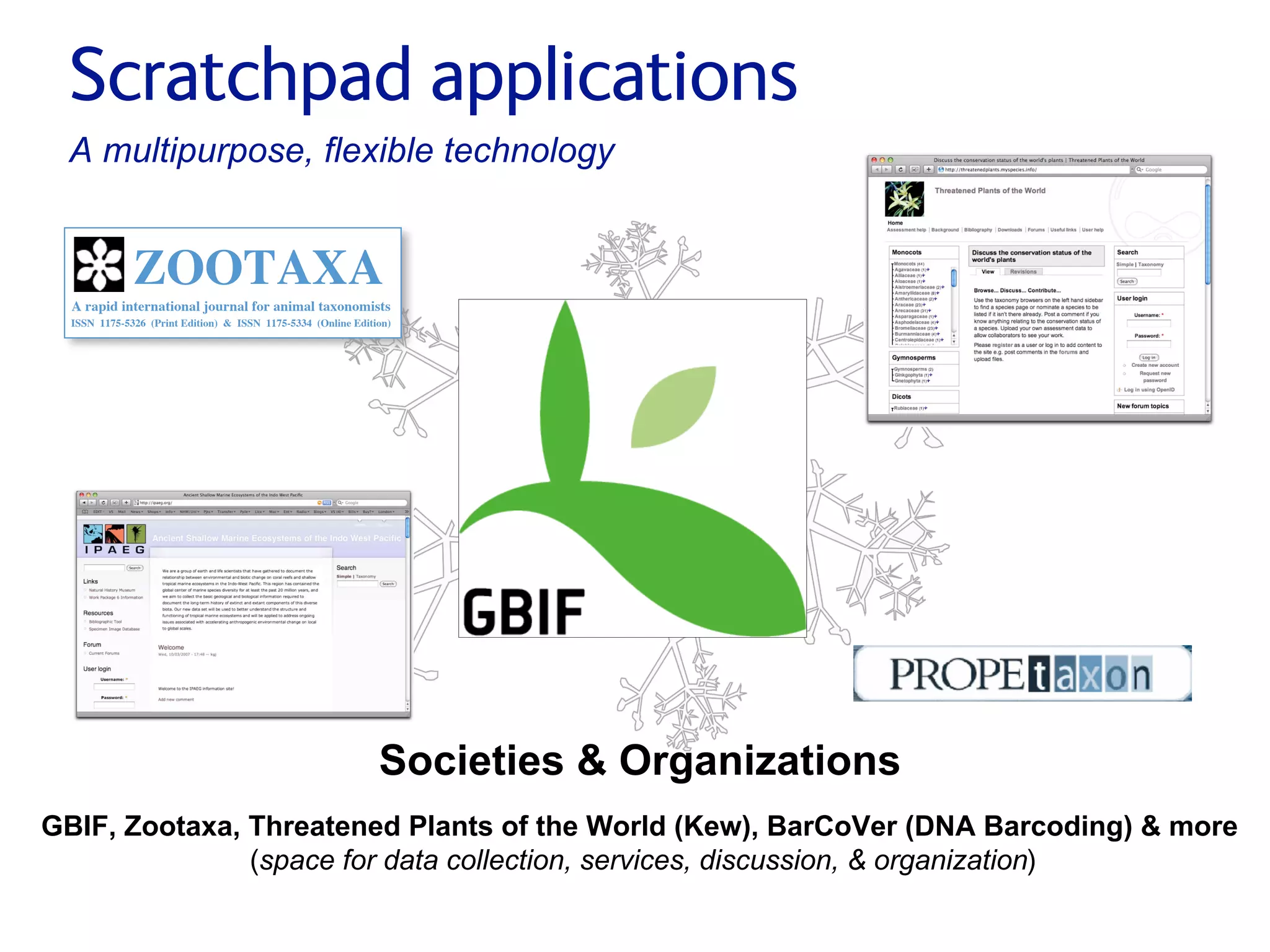 Small pieces loosely joined: a unified theory of biodiversity for the web.