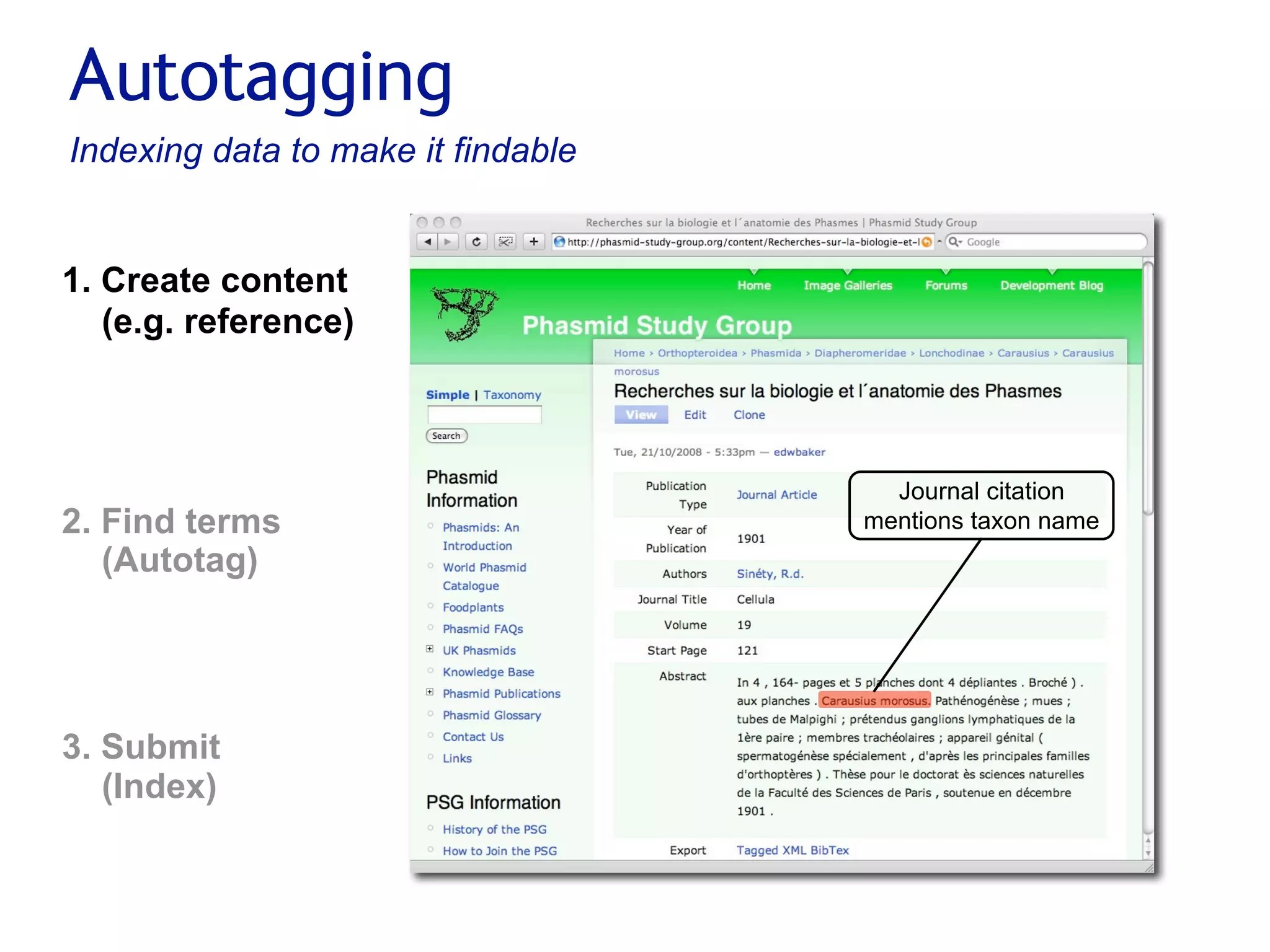 Small pieces loosely joined: a unified theory of biodiversity for the web.