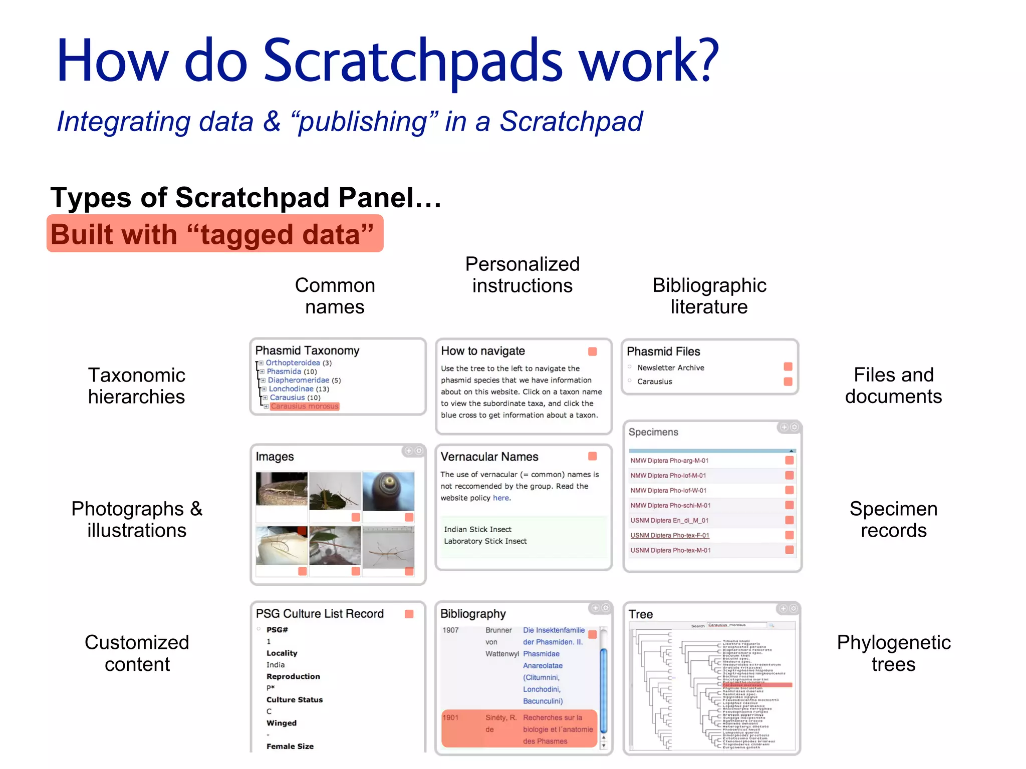 Small pieces loosely joined: a unified theory of biodiversity for the web.