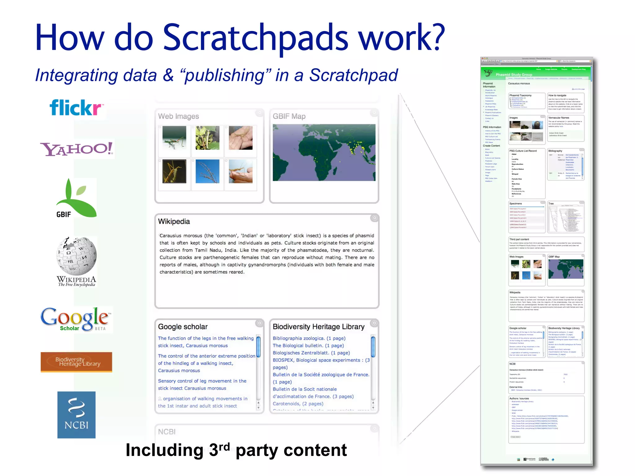 Small pieces loosely joined: a unified theory of biodiversity for the web.