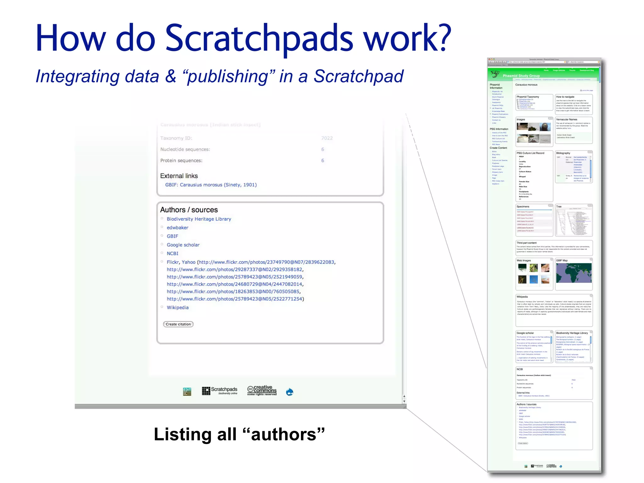 Small pieces loosely joined: a unified theory of biodiversity for the web.