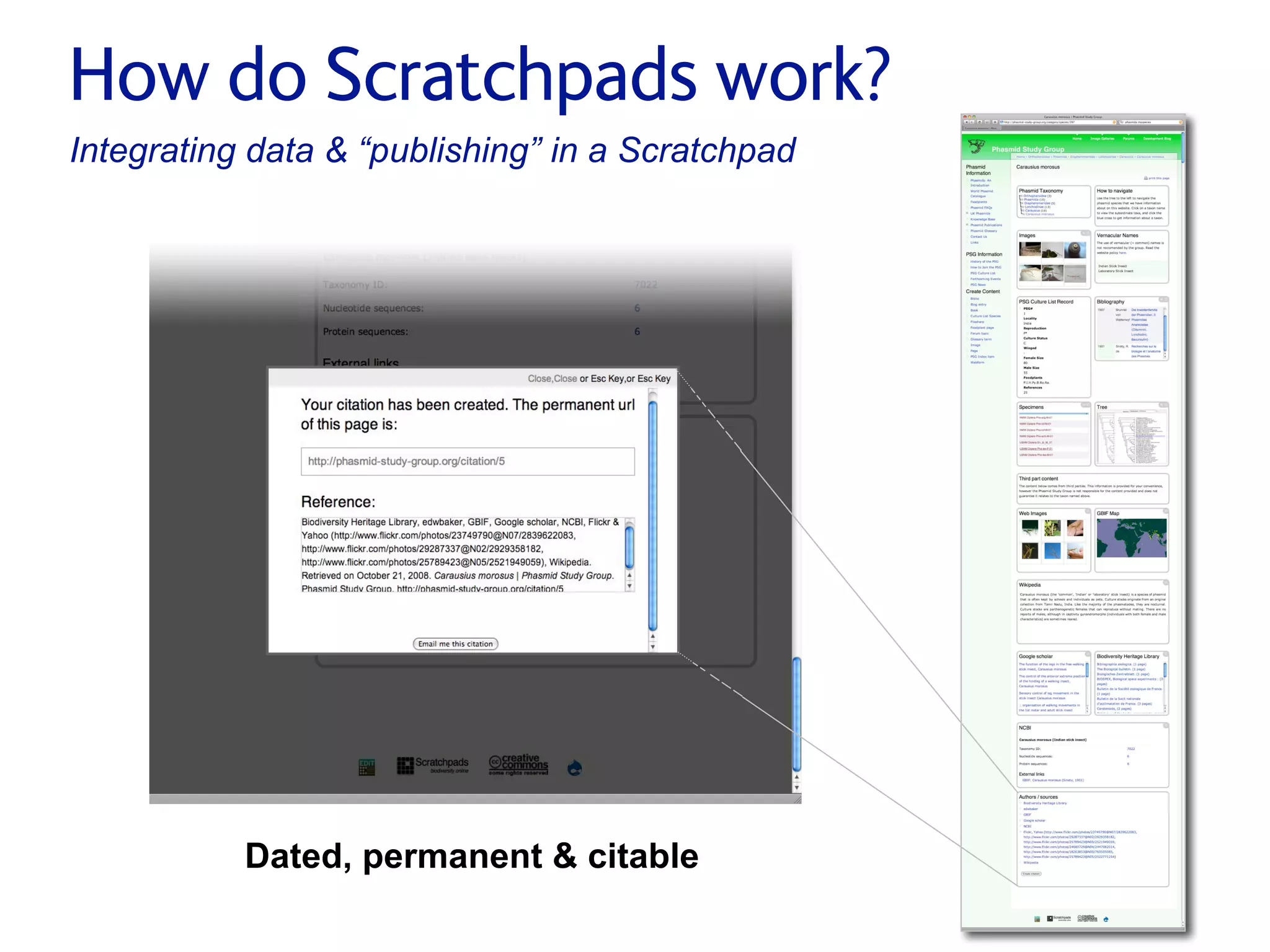 Small pieces loosely joined: a unified theory of biodiversity for the web.