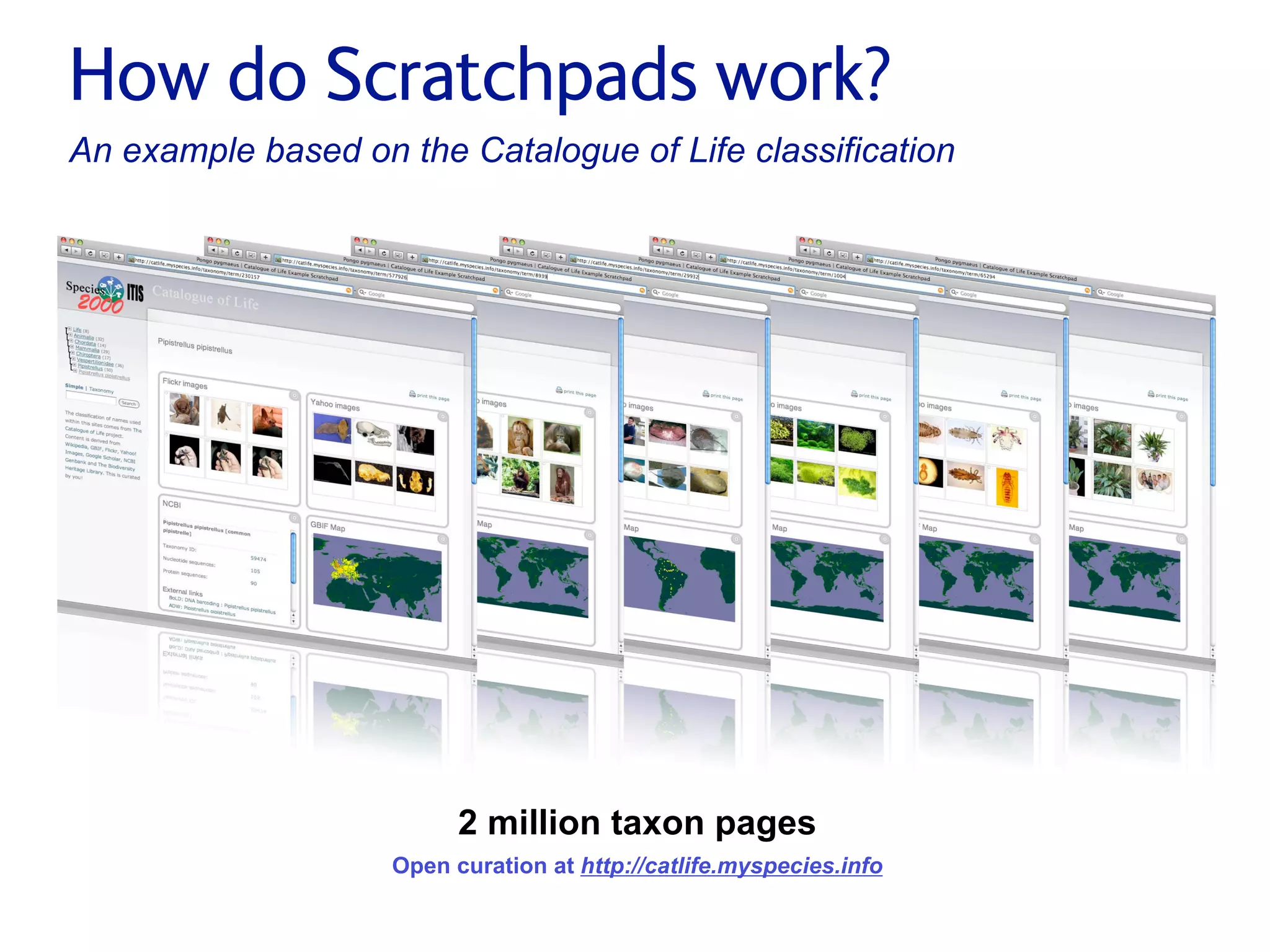 Small pieces loosely joined: a unified theory of biodiversity for the web.