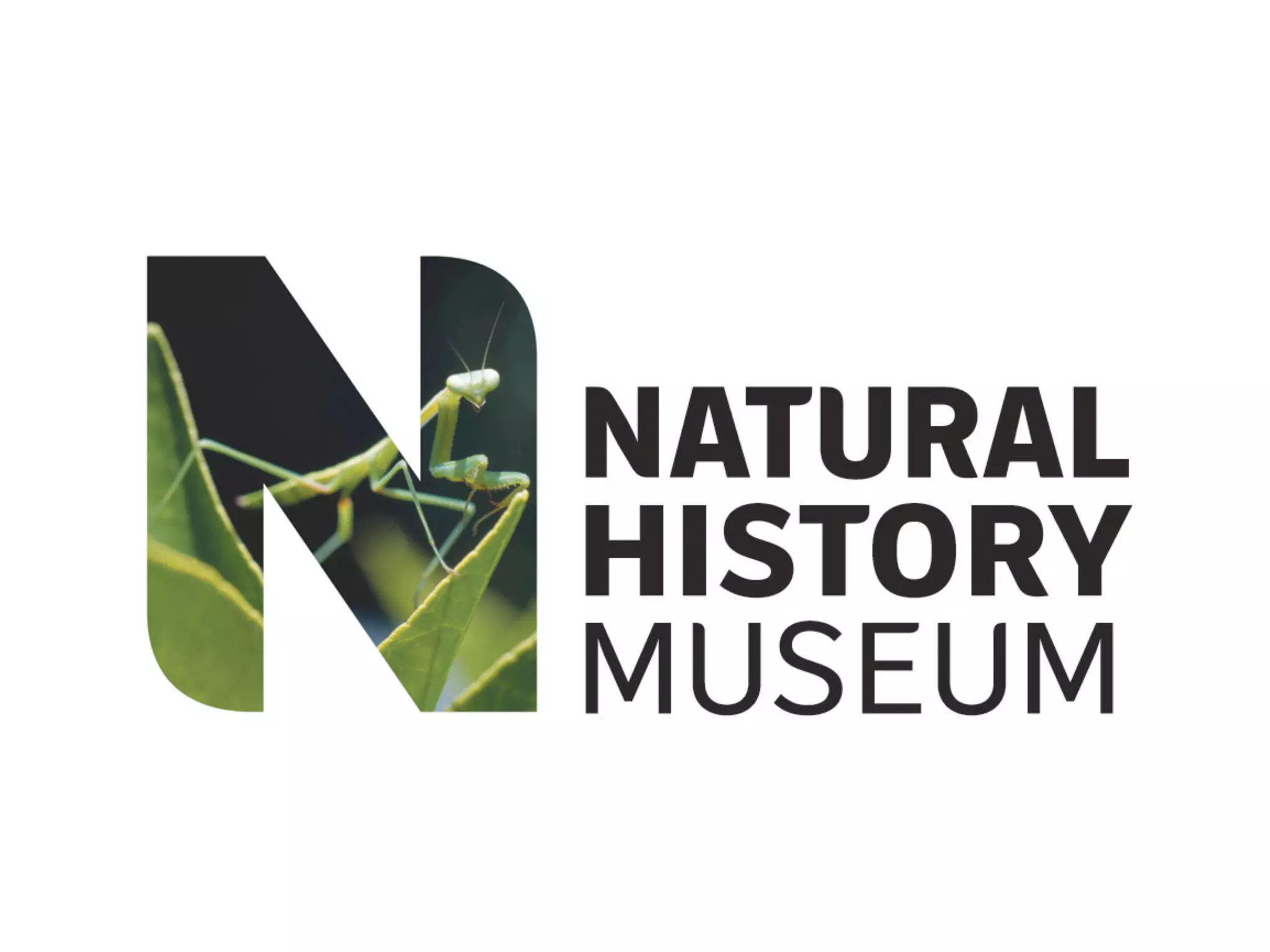 Small pieces loosely joined: a unified theory of biodiversity for the web.