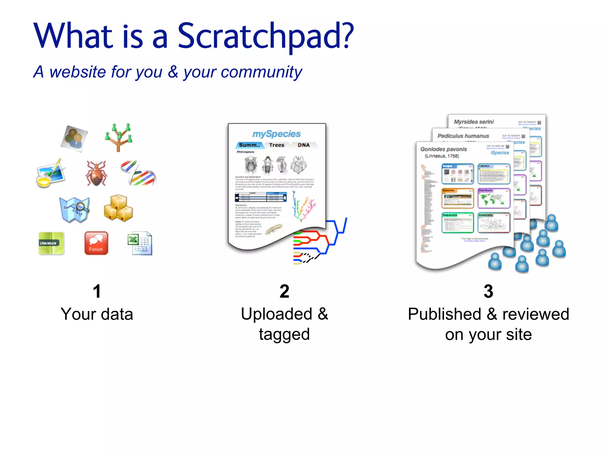 Small pieces loosely joined: a unified theory of biodiversity for the web.