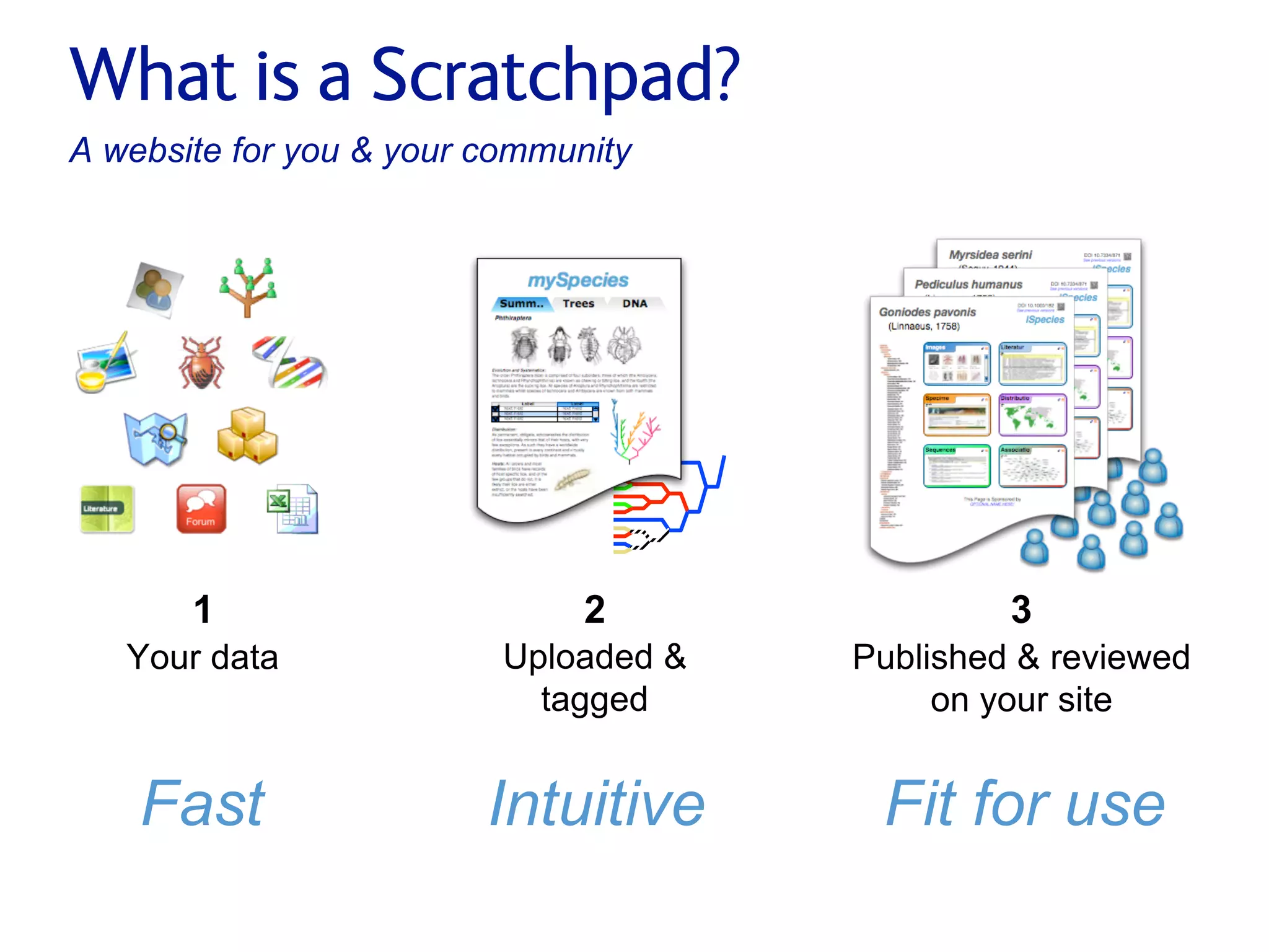 Small pieces loosely joined: a unified theory of biodiversity for the web.