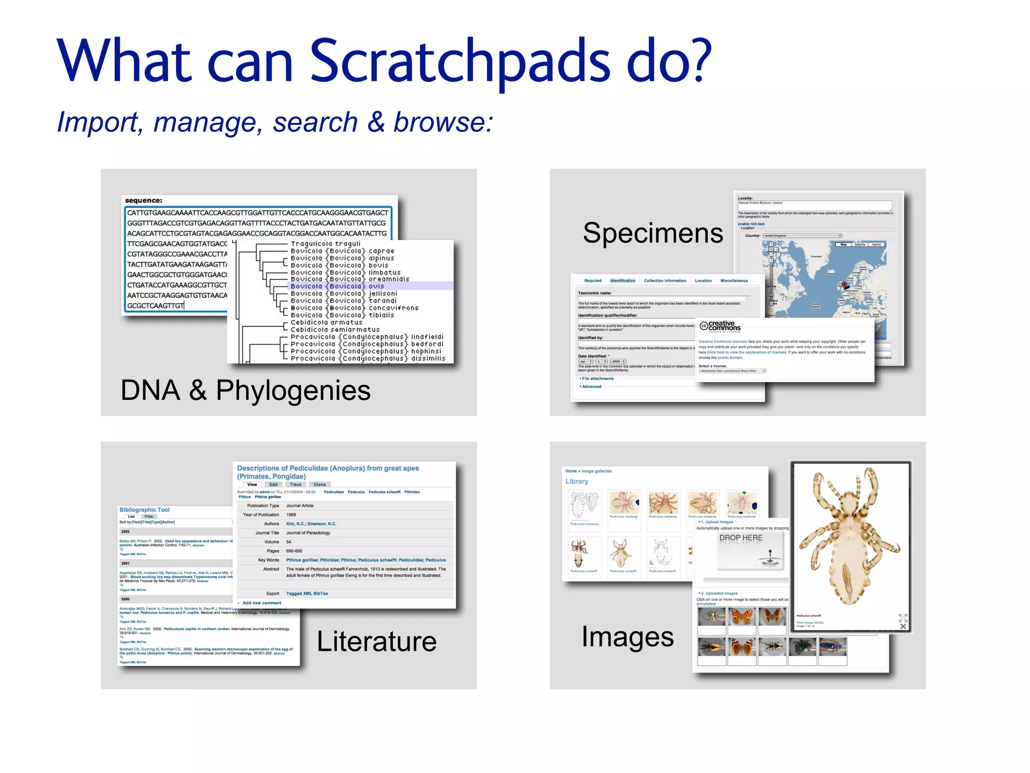 Small pieces loosely joined: a unified theory of biodiversity for the web.