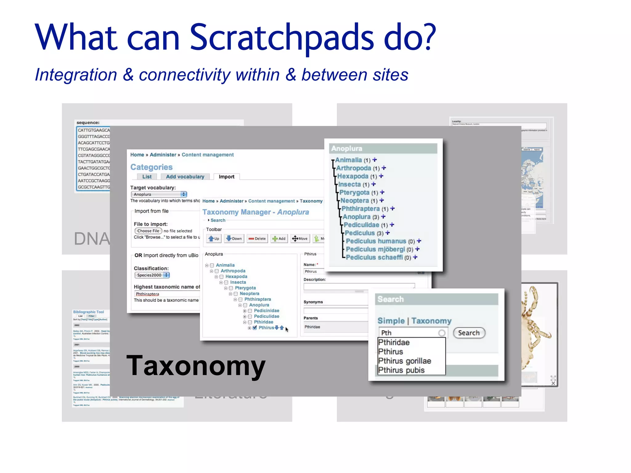 Small pieces loosely joined: a unified theory of biodiversity for the web.