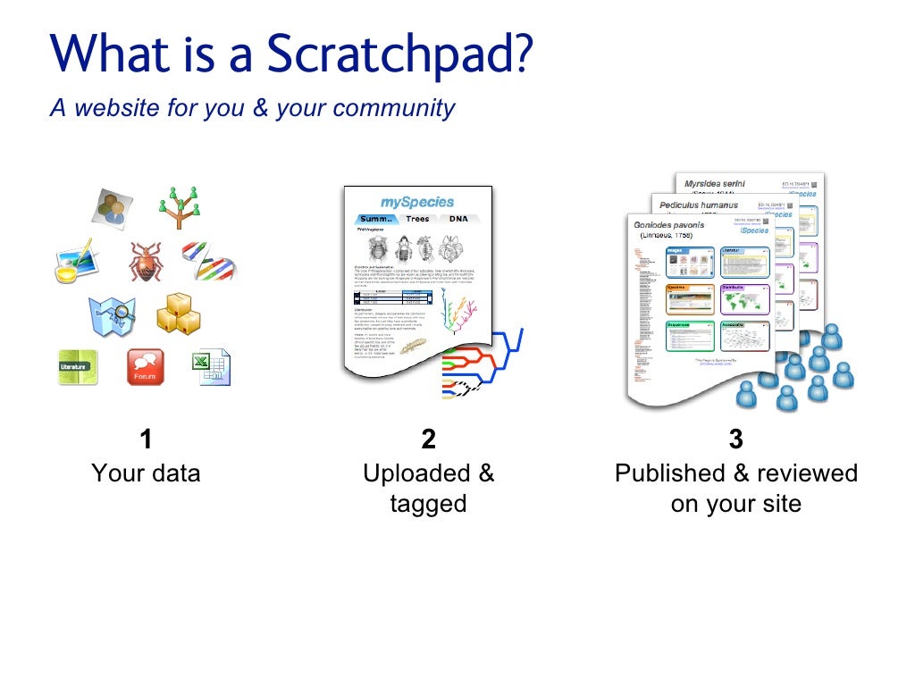 What is a Scratchpad? A