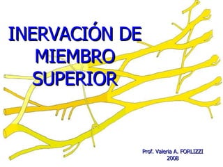 INERVACIÓN DE MIEMBRO SUPERIOR Prof. Valeria A. FORLIZZI 200 8 