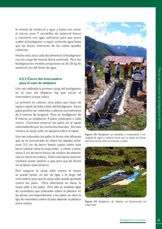 65Biodigestores Familiares
la mezcla de estiércol y agua y basta con echar
al menos unas 7 carretillas de estiércol fresco
y mezclarlo con agua suficiente para que entre
suelto al biodigestor y seguir echando agua hasta
que las bocas interiores de los tubos queden
cubiertas.
Hecho esto,toca cada día alimentar al biodigestor
con las carga de mezcla diaria estimada. Para los
biodigestores modelo propuestos es de 20 kg de
estiércol con 60 litros de agua.
6.5.3 Cierre del invernadero
para el caso de altiplano
Una vez realizada la primera carga del biodigestor,
en el caso del altiplano, hay que cerrar el
invernadero (carpa solar).
Lo primero es colocar unos palos que vayan de
tapial a tapial, de lado a lado del biodigestor. Estos
palos podrán ser redondos o planos,normalmente
de 2 metros de longitud. Para un biodigestor de
8 metros se emplearán 9 palos colocados a cada
metro. Conviene enterrar los palos en el tapial,
sobresaliendo por los extremos laterales. De esta
manera, la carpa solar se apoyará sobre el tapial.
Una vez colocados los palos,la forma más eficiente
que se ha encontrado es: sobre los tápiales echar
unos 2-3 cm de barro fresco suelto, sobre este
barro colocar tensa la carpa solar, y volver a echar
otros 5 cm de barro fresco, de manera de obtener
casi un cierre hermético. Sobre este barro exterior
conviene poner piedras o paja para que las lluvias
no se lleven todo el barro.
Para asegurar la carpa solar contra el viento
se puede tensar un par de ligas a lo largo del
invernadero,para que la carpa solar quede apretada
contra los palos. Otra alternativa es clavar la
carpa solar a los palos. Para ello se emplean ligas
de neumático, que colocadas sobre el plástico en
las partes correspondientes a los palos, se clava la
liga de neumático sobre el palo, dejando al plástico
entre ambos.
Figura 23: Biodigestor ya instalado, y empezando a ser
cargado de agua y estiércol hasta que se tapan las bocas
interiores de los tubos de entrada y salida.
Figura 24: Biodigestor de altiplano ya funcionando con
carpa solar.
Manualdeinstalacióndebiodigestoresfamiliares
 