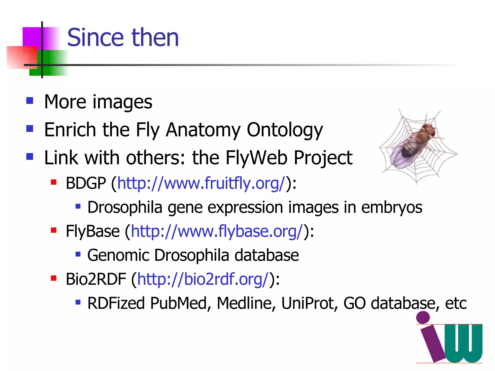 Since then More images Enrich the Fly Anatomy Ontology Link with others: the FlyWeb Project BDGP ( http://www.fruitfly.org/ ):  Drosophila gene expression images in embryos FlyBase ( http://www.flybase.org/ ):  Genomic Drosophila database Bio2RDF ( http://bio2rdf.org/ ):  RDFized PubMed, Medline, UniProt, GO database, etc 