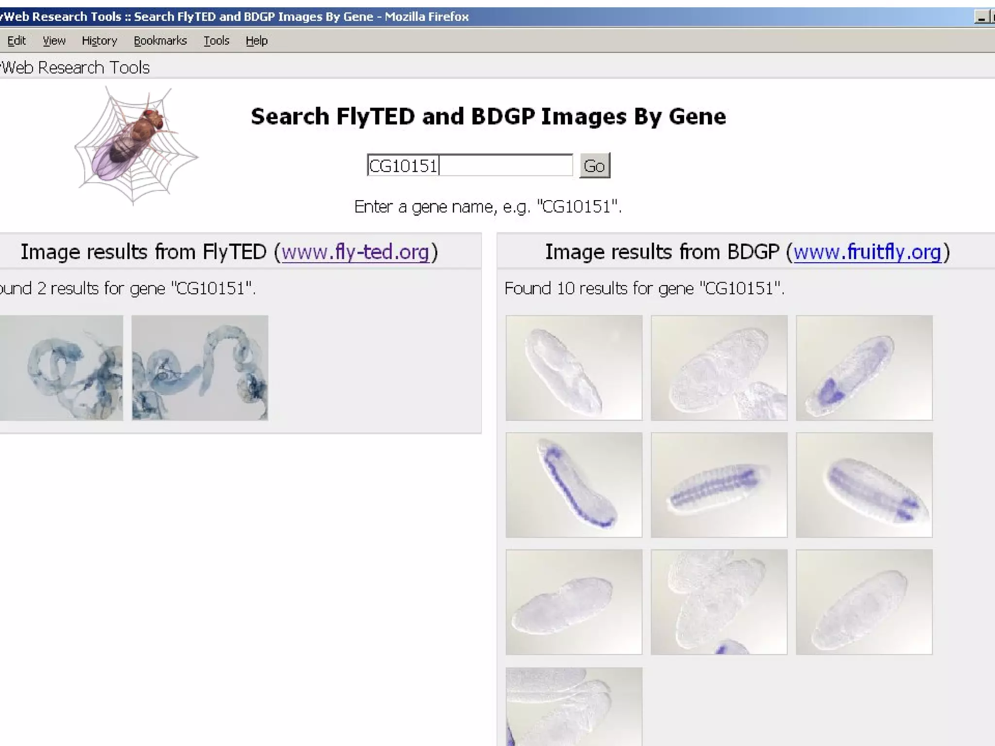Screen shot of FlyWeb 
