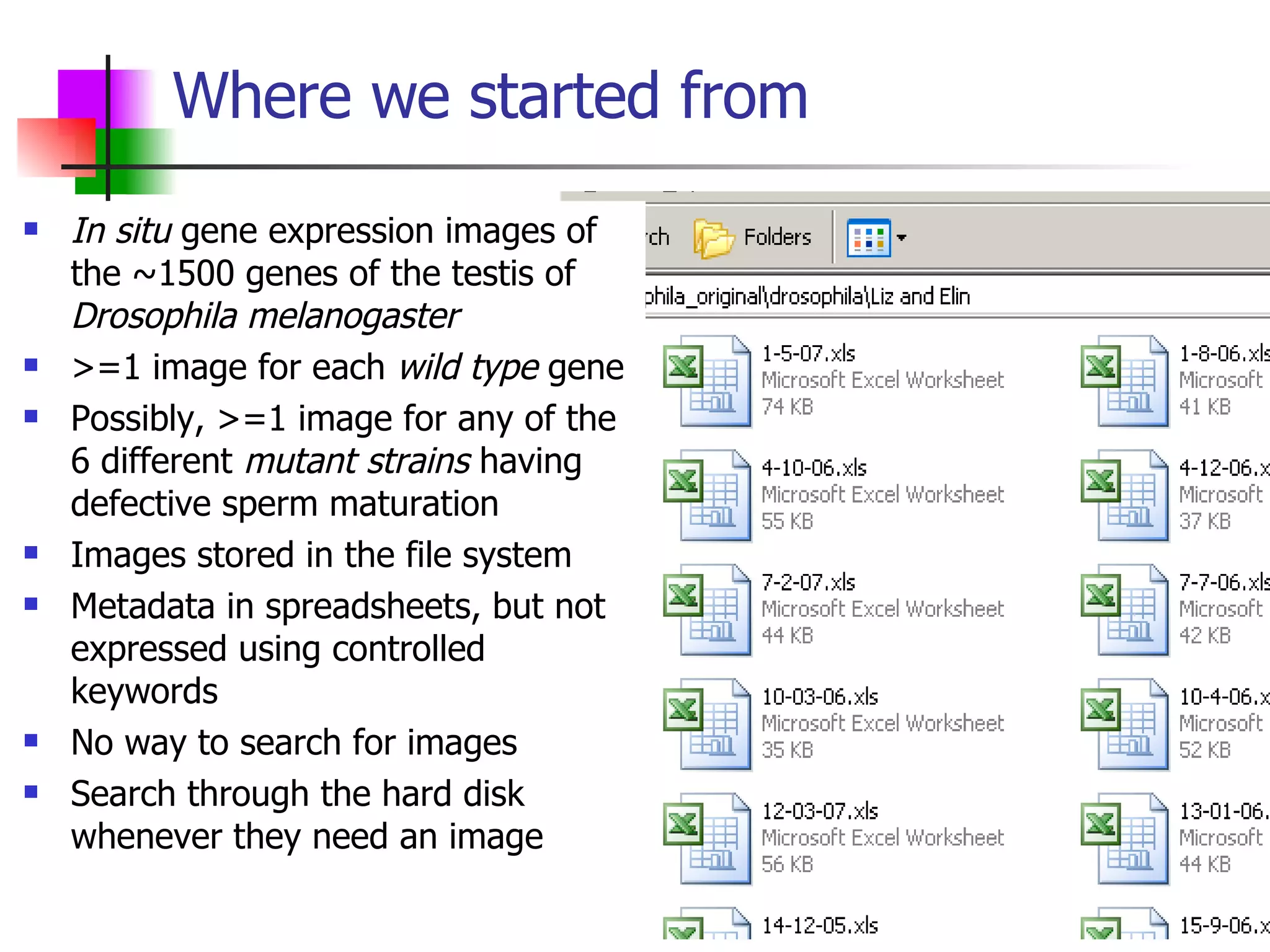 Where we started from In situ  gene expression images of the ~1500 genes of the testis of  Drosophila melanogaster >=1 image for each  wild type  gene Possibly, >=1 image for any of the 6 different  mutant strains  having defective sperm maturation Images stored in the file system Metadata in spreadsheets, but not expressed using controlled keywords No way to search for images Search through the hard disk whenever they need an image 